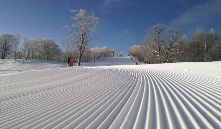 配備人造雪花機！穩定降雪